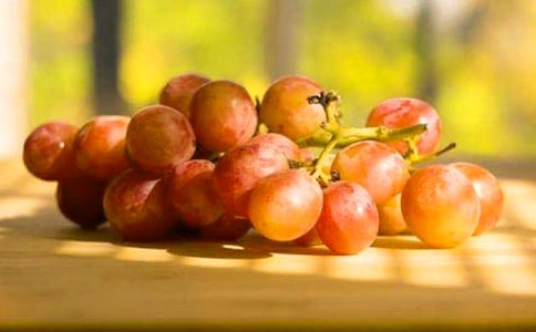 ���ѵ���������[��]