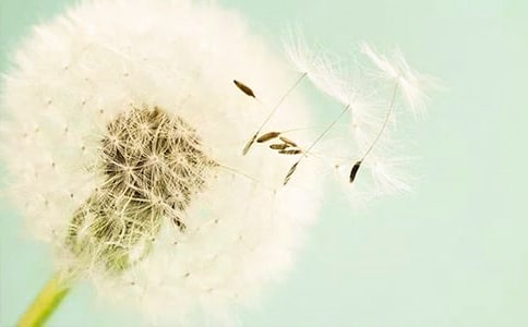 �ѹ�Ӣ����