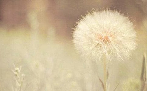 �ѹ�Ӣ�����ӽ̰�