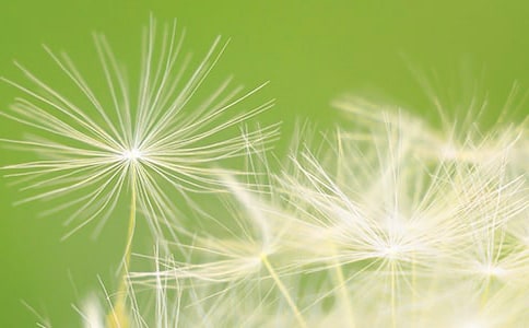 �ѹ�Ӣ�Ľ̰����