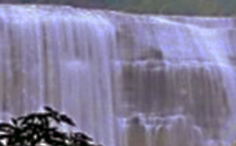 �ƹ����ٲ�����