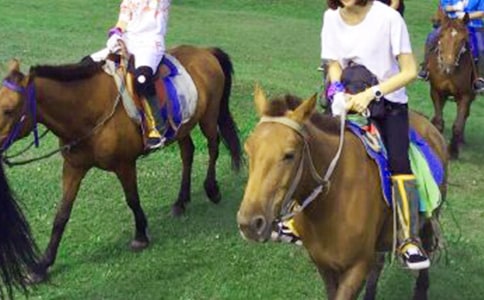 ���� ������