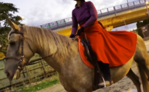 �ҵ�һ����������