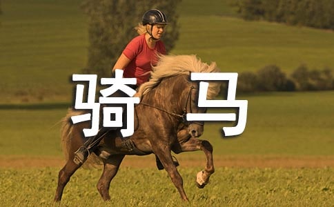 第一次骑马作文【热】