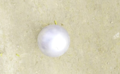 Ǧ�����Сѧ����