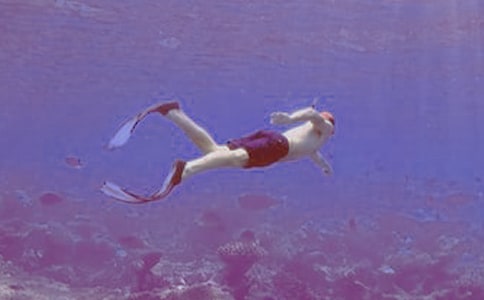 ����Ǳˮ����Ǳˮ��Ա��ͬ