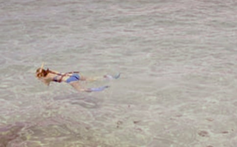 蓝狐狸,蟋蟀号潜水艇读后感