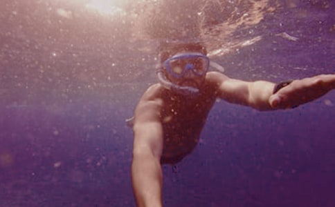 第一次潜水作文(集合)