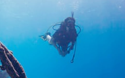 ��һ��Ǳˮ����[�ϼ�6ƪ]