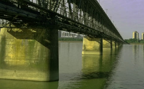 语言是沟通的桥梁作文