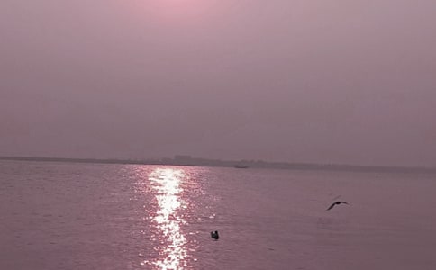 �ػʵ�԰��԰����