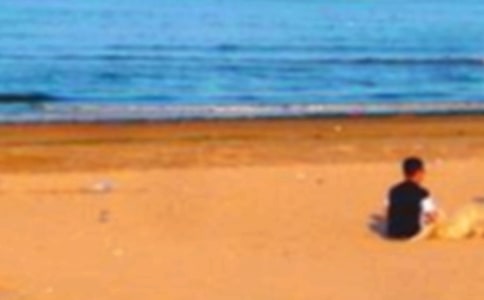 �ػʵ��μ�����[��ѡ3ƪ]