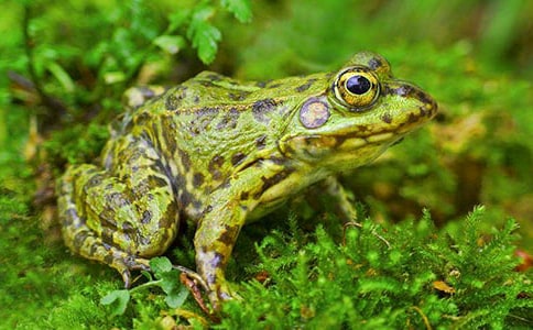 �а���������Ϸˮ�̰�