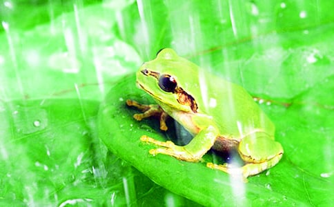 �а������������̰���ͨ��11ƪ��