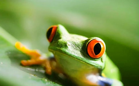 ���̰�С�����㳪��