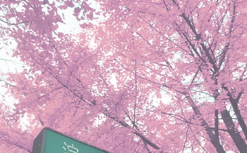 �＾Сѧ�������˹����ܽ᷶��