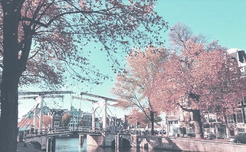 �й��＾���������ƻ���ƪ