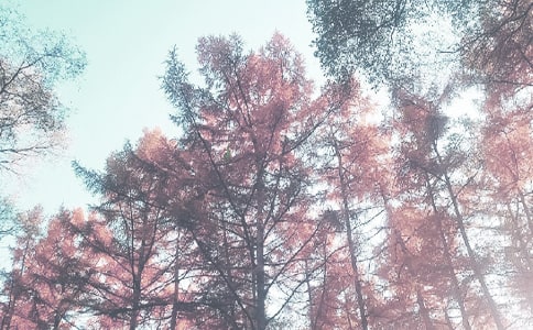 学年秋季我校党课学习笔记