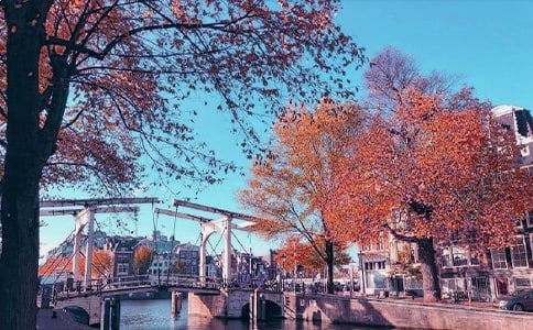 ����˽������15ƪ��ʵ�ã�