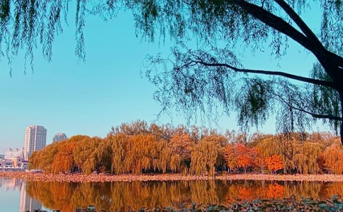 秋日恋歌作文(通用21篇)