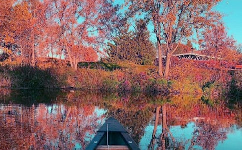 关于秋日游记作文三篇