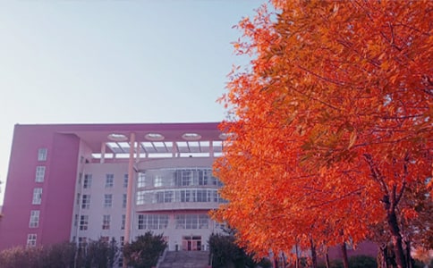 ���ոл���ɢ�����