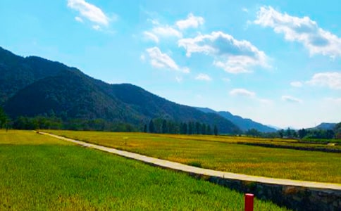 ����ʱ�ڵ�����ɢ�ģ���ѡ38ƪ��