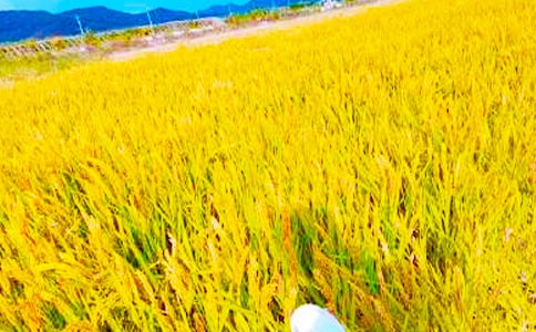 �������ռ�