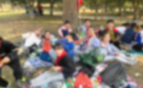 ���ΰ�ӻ������ͨ��8ƪ��