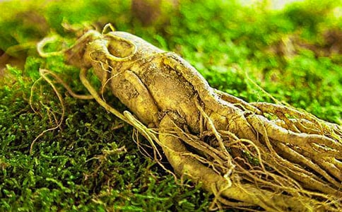 ͵���˲ι��Ķ����