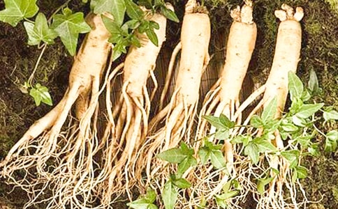 ͵���˲ι������