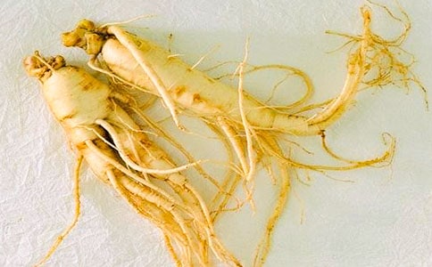 ��ѧ�����ƻ����˲ο�