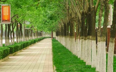 城市环保型人行道探索