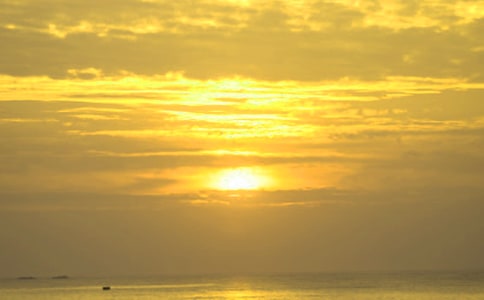 ���꼶�ճ�д������5ƪ_д������300��