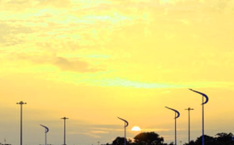 大陈岛看日出小学生作文