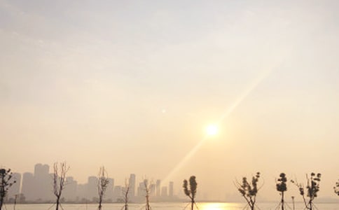 ����ѡ�����ճ�����