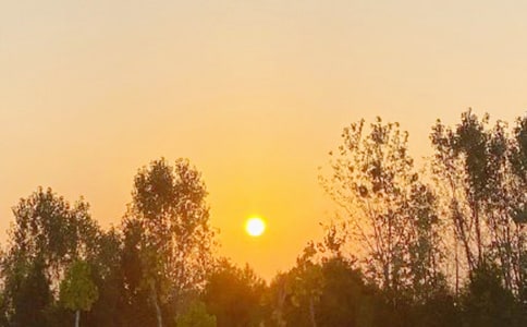 ���꼶�ϲᡶ�����ճ����̰�