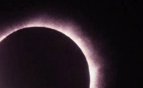 ��ʳ�۲ⱨ��