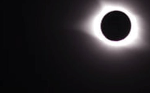 ������ʳ������