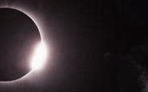 ��ʳ��ʳ��