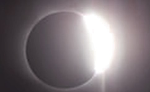 �й���ʳ������