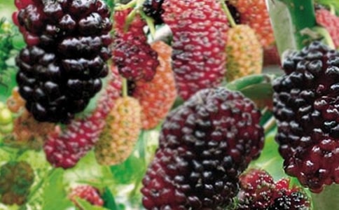 �Ұ������ɣ������д������