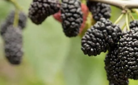 ���� ��ɣ��