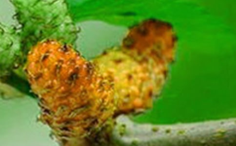 ��ɣ�����Ŀ�ͷ