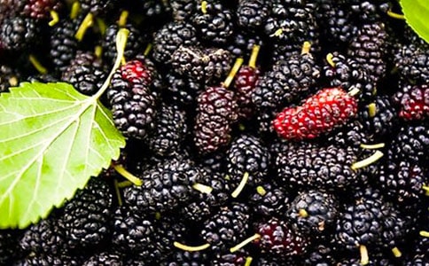 ժɣ�����ģ��Ƽ���