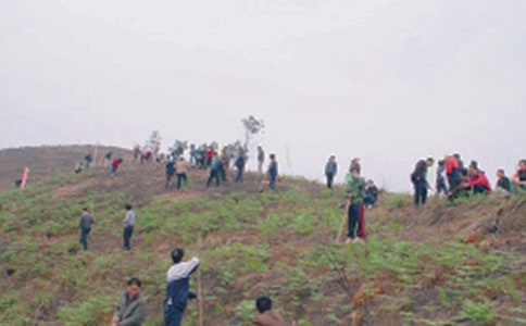 ɨĹ������3ƪ(�ϼ�)