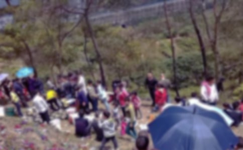 ʵ�õ�ɨĹ����300��3ƪ