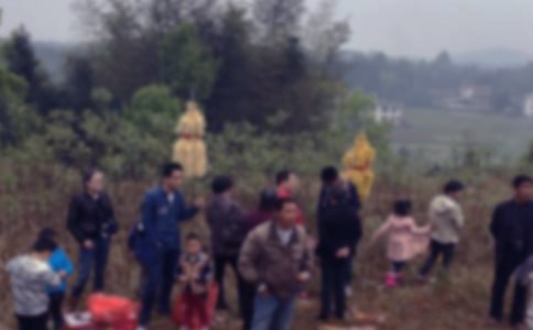 扫墓活动方案(通用9篇)