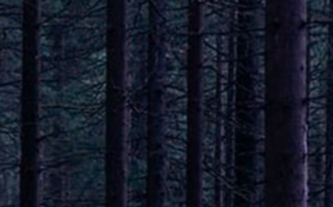 森林防灭火简报