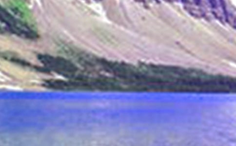 ɽˮ�μ�ɢ��